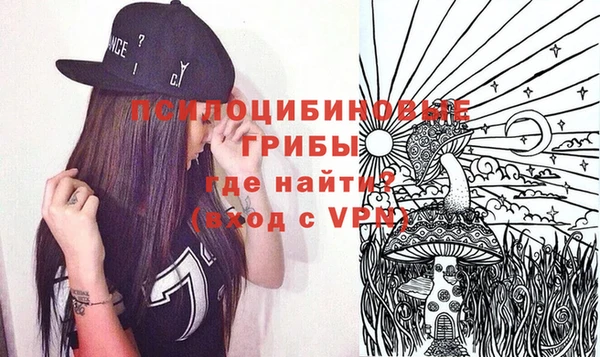 мдма Медвежьегорск