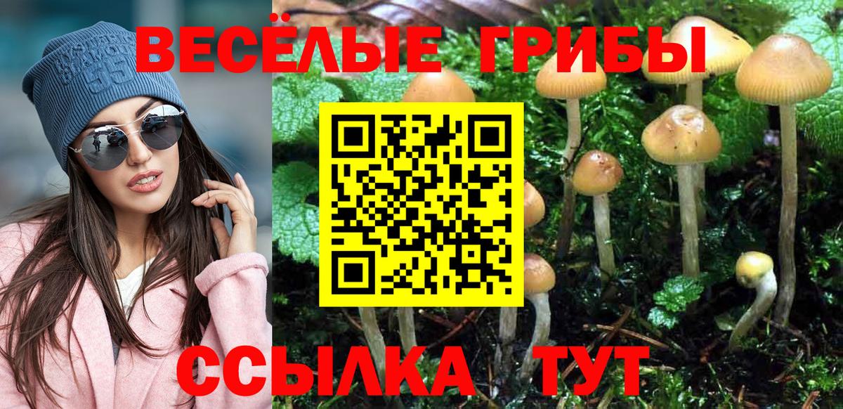 Псилоцибиновые грибы Magic Shrooms  Вход с VPN  Дмитров 