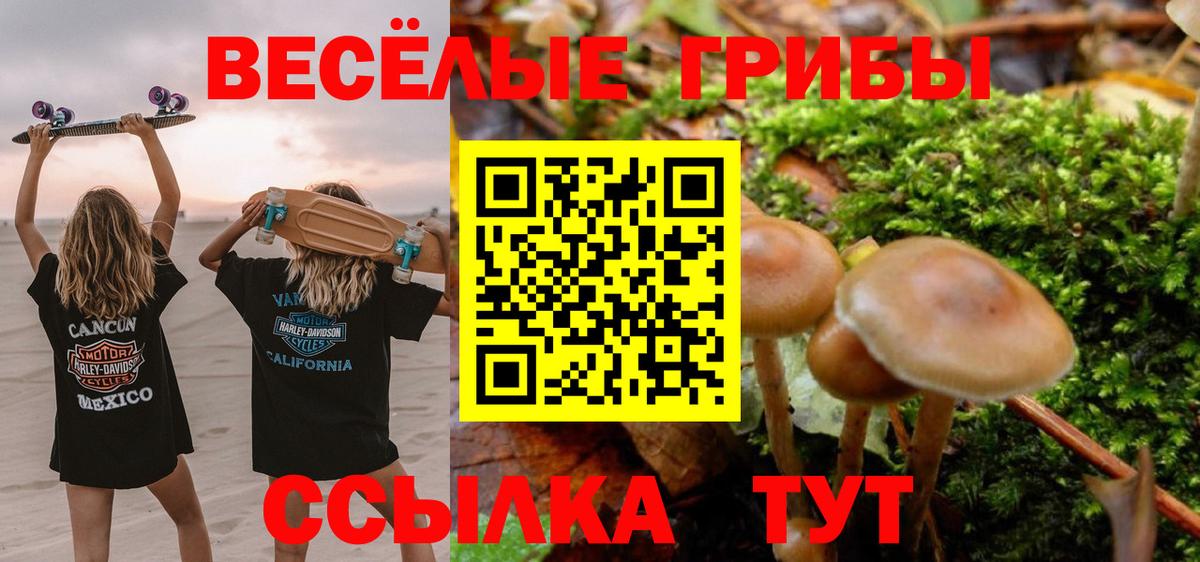 Псилоцибиновые грибы MAGIC MUSHROOMS Дмитров