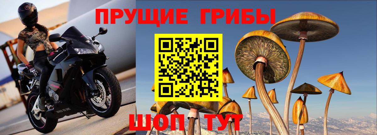 Псилоцибиновые грибы ЛСД  Галлюциногенные грибы Cubensis  Дмитров 